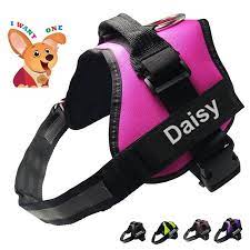 Find out what a not pull dog harness is in detail post thumbnail image