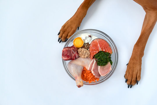 Factors to consider when selecting natural dog food post thumbnail image
