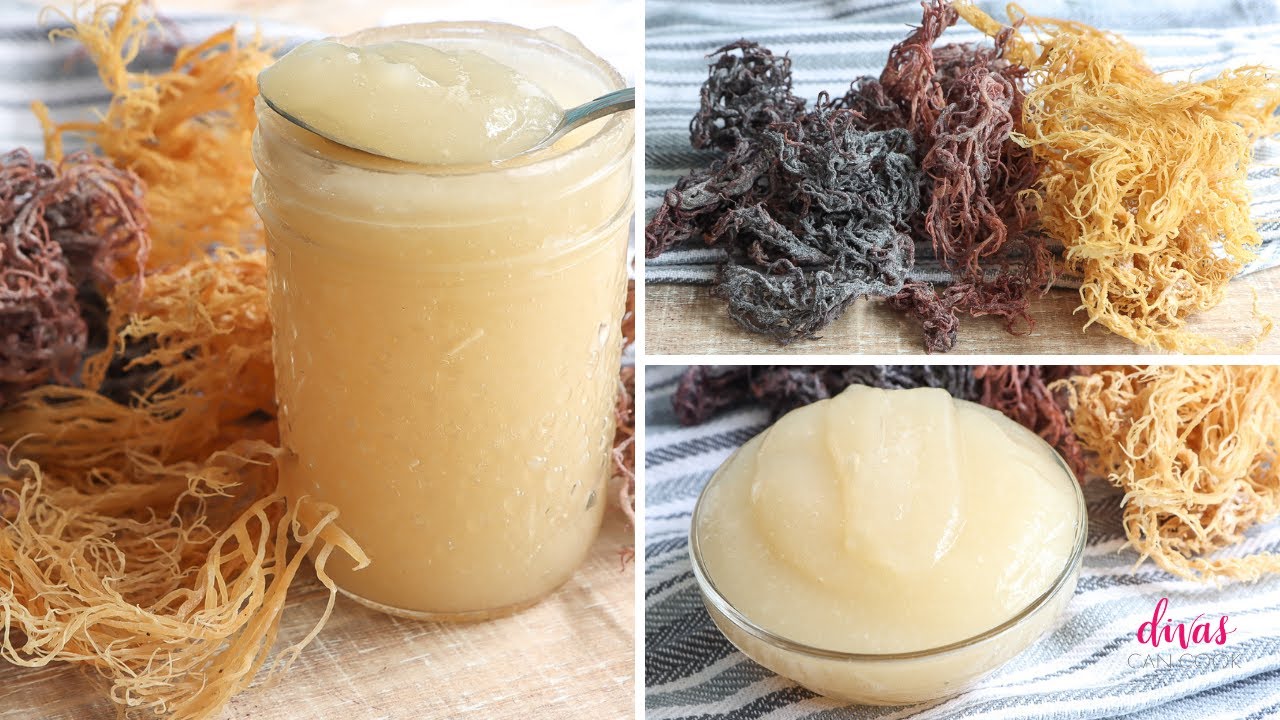 Dried Sea Moss: A Nutrient-Stuffed Superfood from the Ocean post thumbnail image