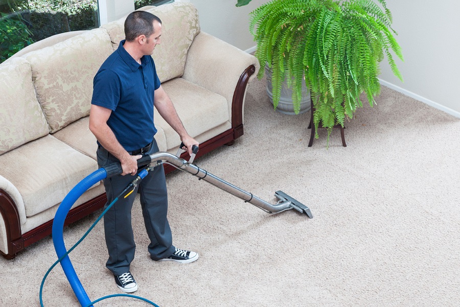 Do you want to clean your carpets?  – Brisbane carpet cleaning company post thumbnail image