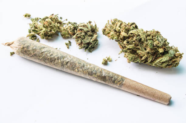 Top rated Great things about Pre-roll Blunts post thumbnail image