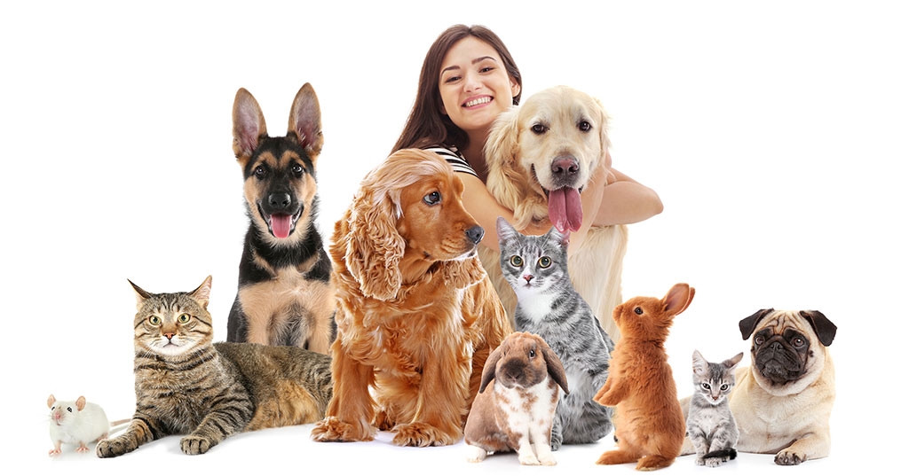 Things to Consider When Choosing a Pet Franchise post thumbnail image