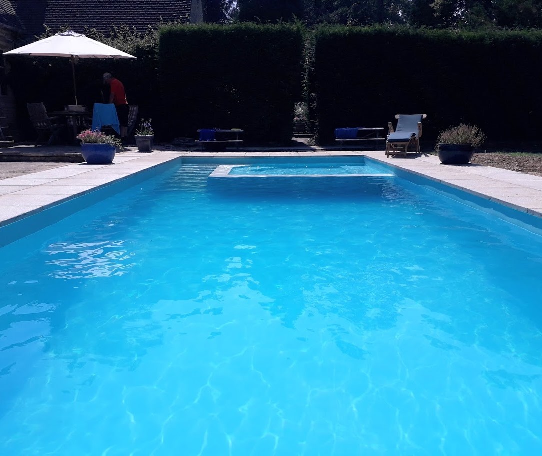 Excellent reasons to hire pool cleansing professional services post thumbnail image