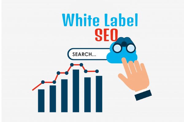 The best support white label SEO inside a specialist way post thumbnail image