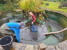 Top Pond Company: Quality Services for Your Pond post thumbnail image