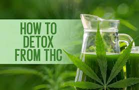 Detoxify Your Sweat: Top Methods for Eliminating THC through Exercise post thumbnail image