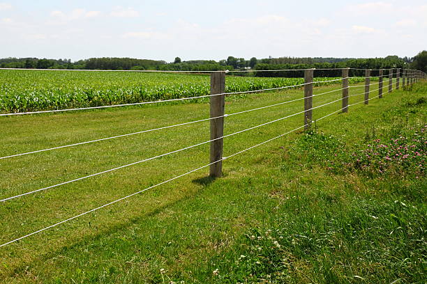 Invisible Fence: Understanding Its Function and Benefits post thumbnail image